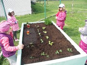 Zahradničíme ve školce